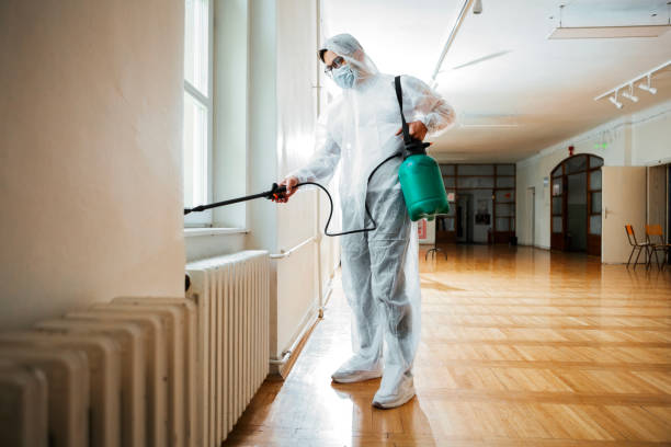 Best Residential Pest Control  in Romeo, MI